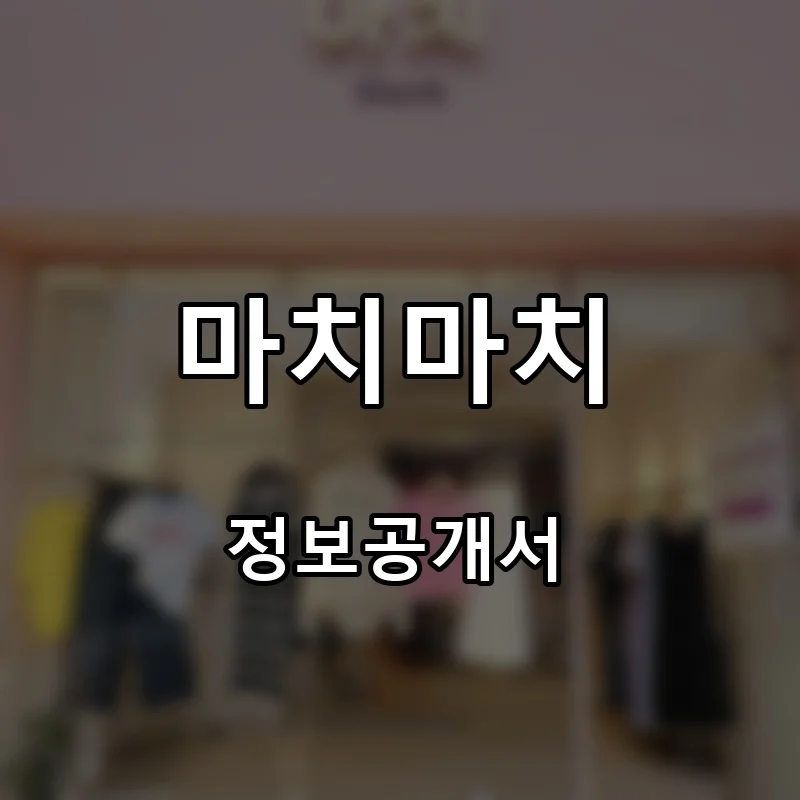 마치마치 프랜차이즈 창업 비용 정보공개서 요약