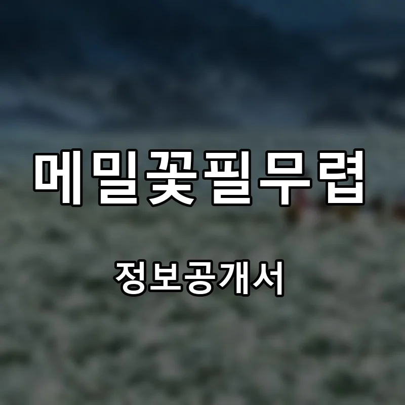 메밀꽃필무렵 프랜차이즈 창업 비용 정보공개서 요약