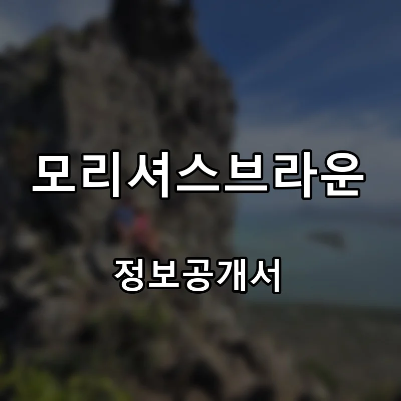 모리셔스브라운(Mauritius Brown) 프랜차이즈 창업 비용 정보공개서 요약