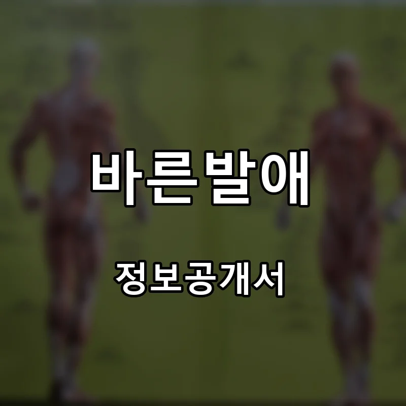 바른발애 프랜차이즈 창업 비용 정보공개서 요약