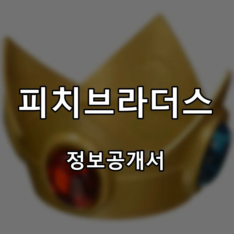 피치브라더스 프랜차이즈 창업 비용 정보공개서 요약