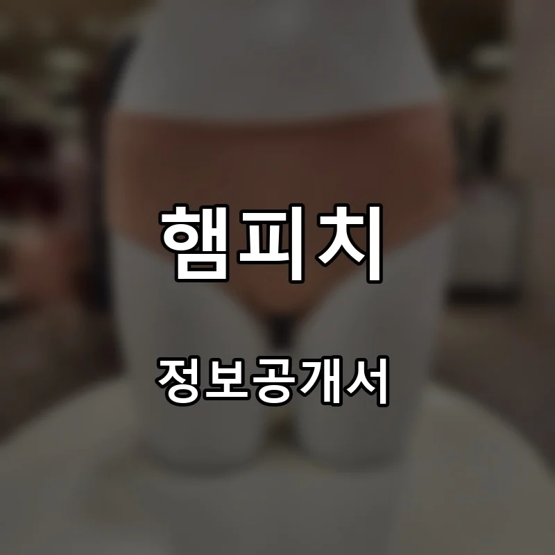 햄피치 프랜차이즈 창업 비용 정보공개서 요약