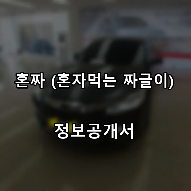 혼짜 (혼자먹는 짜글이) 프랜차이즈 창업 비용 정보공개서 요약