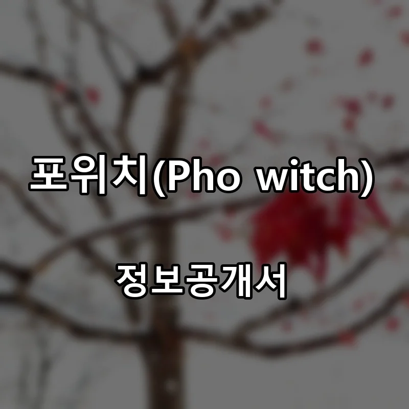포위치(Pho witch) 프랜차이즈 창업 비용 정보공개서 요약
