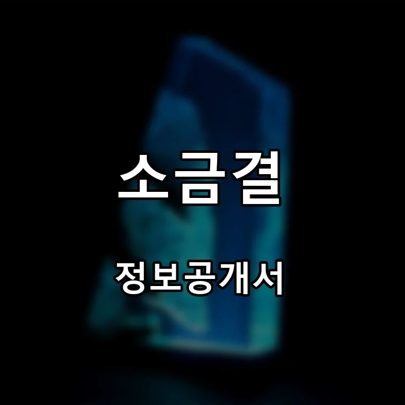 소금결 프랜차이즈 창업 비용 정보공개서 요약