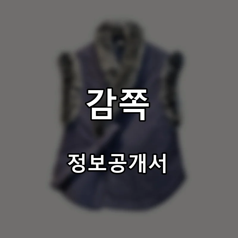 감쪽 프랜차이즈 창업 비용 정보공개서 요약