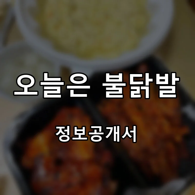 오늘은 불닭발 프랜차이즈 창업 비용 정보공개서 요약