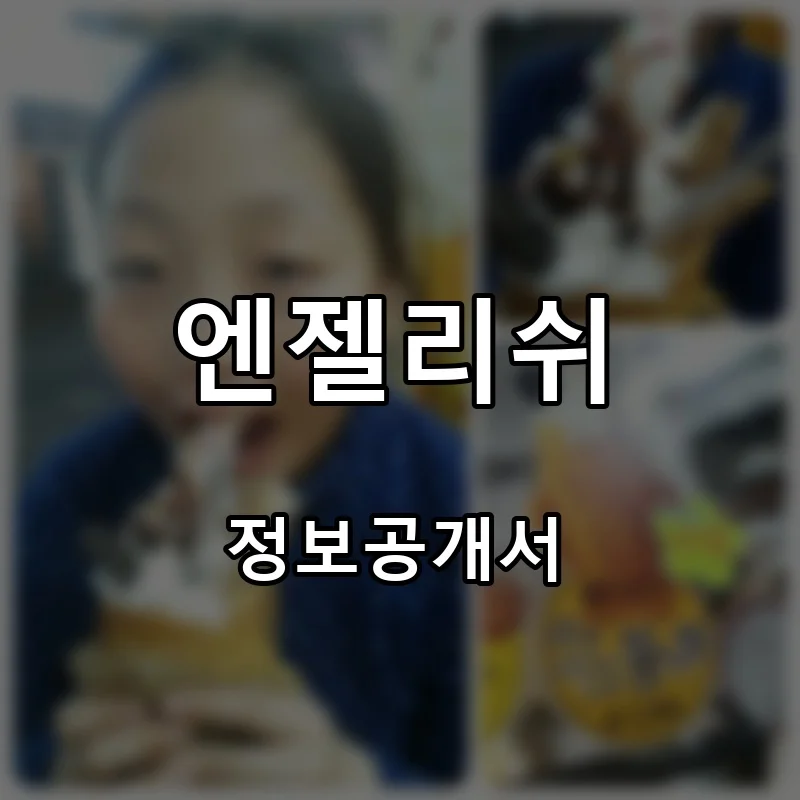 엔젤리쉬 프랜차이즈 창업 비용 정보공개서 요약
