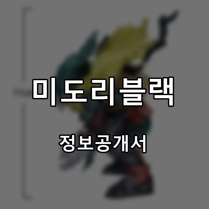 미도리블랙 프랜차이즈 창업 비용 정보공개서 요약