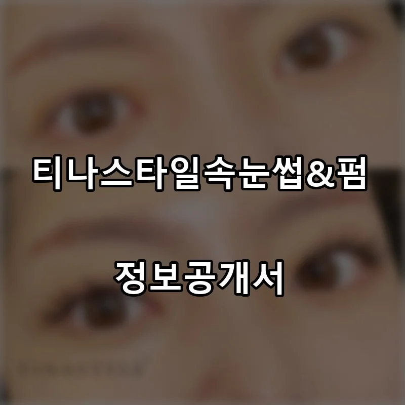 티나스타일속눈썹&펌 프랜차이즈 창업 비용 정보공개서 요약
