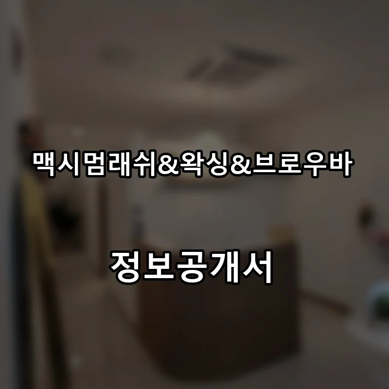 맥시멈래쉬&왁싱&브로우바 프랜차이즈 창업 비용 정보공개서 요약