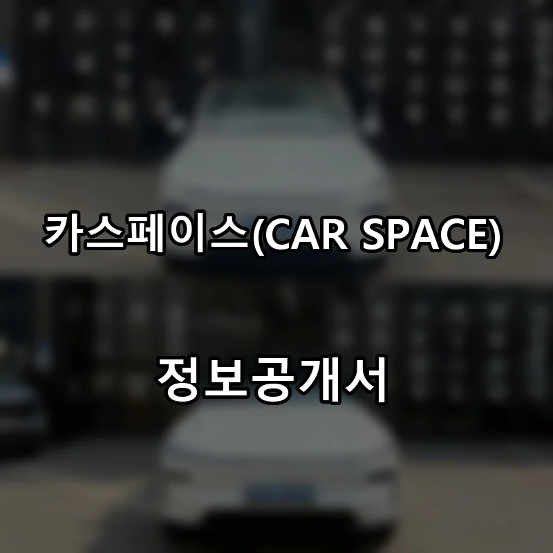 카스페이스(CAR SPACE) 창업 프랜차이즈 정보공개서 요약 2025.12.19