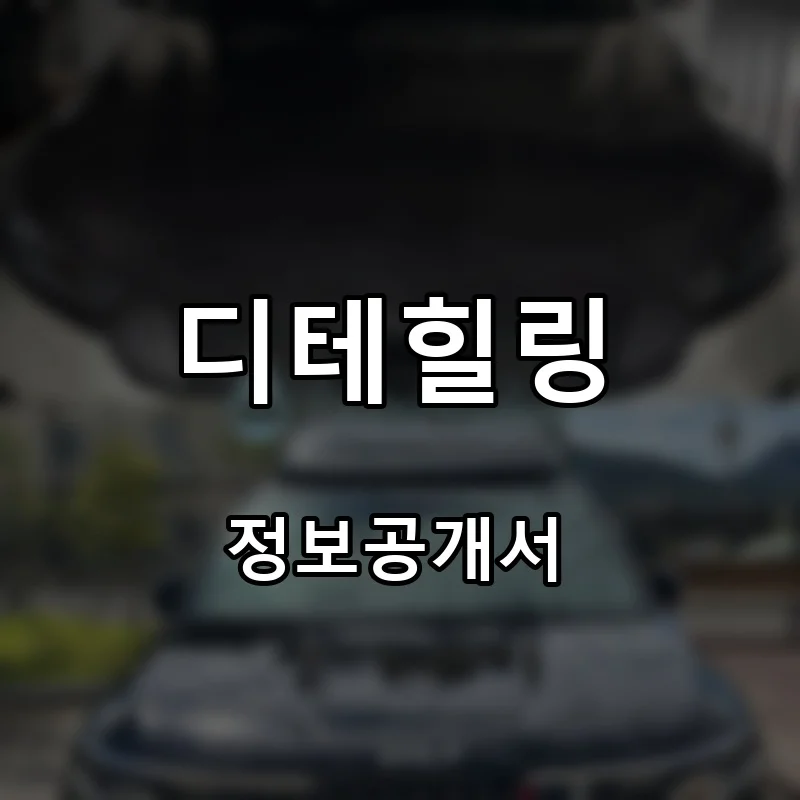 디테힐링 프랜차이즈 창업 비용 정보공개서 요약
