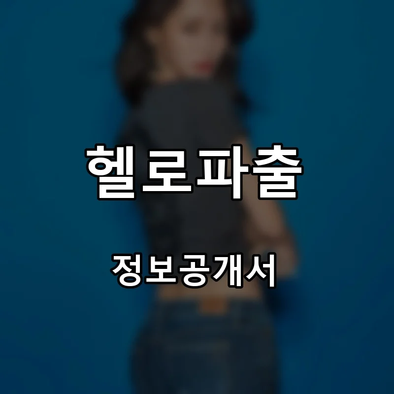 헬로파출 프랜차이즈 창업 비용 정보공개서 요약