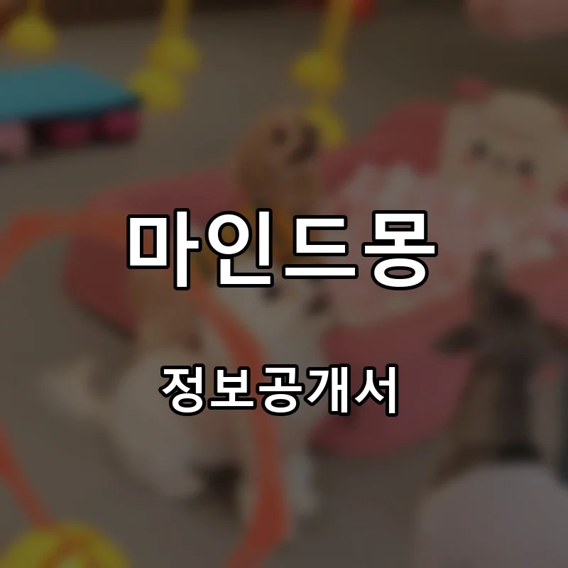 마인드몽 프랜차이즈 창업 비용 정보공개서 요약