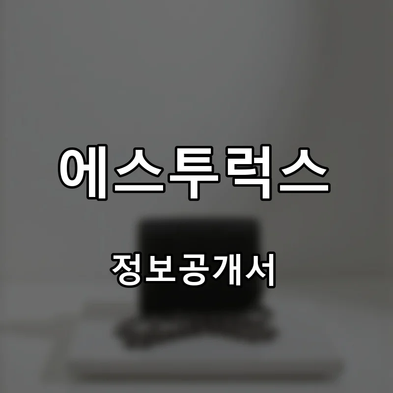 에스투럭스 프랜차이즈 창업 비용 정보공개서 요약