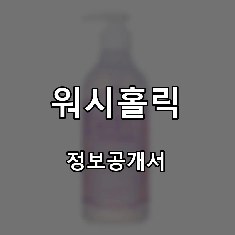 워시홀릭 프랜차이즈 창업 비용 정보공개서 요약
