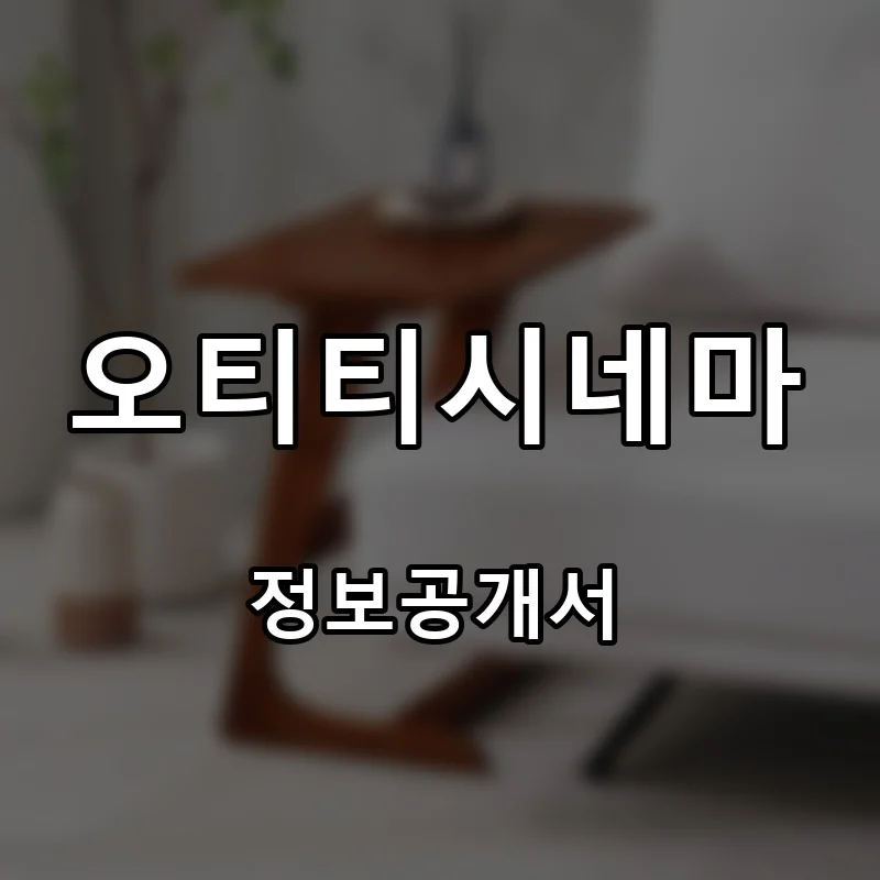 오티티시네마 프랜차이즈 창업 비용 정보공개서 요약