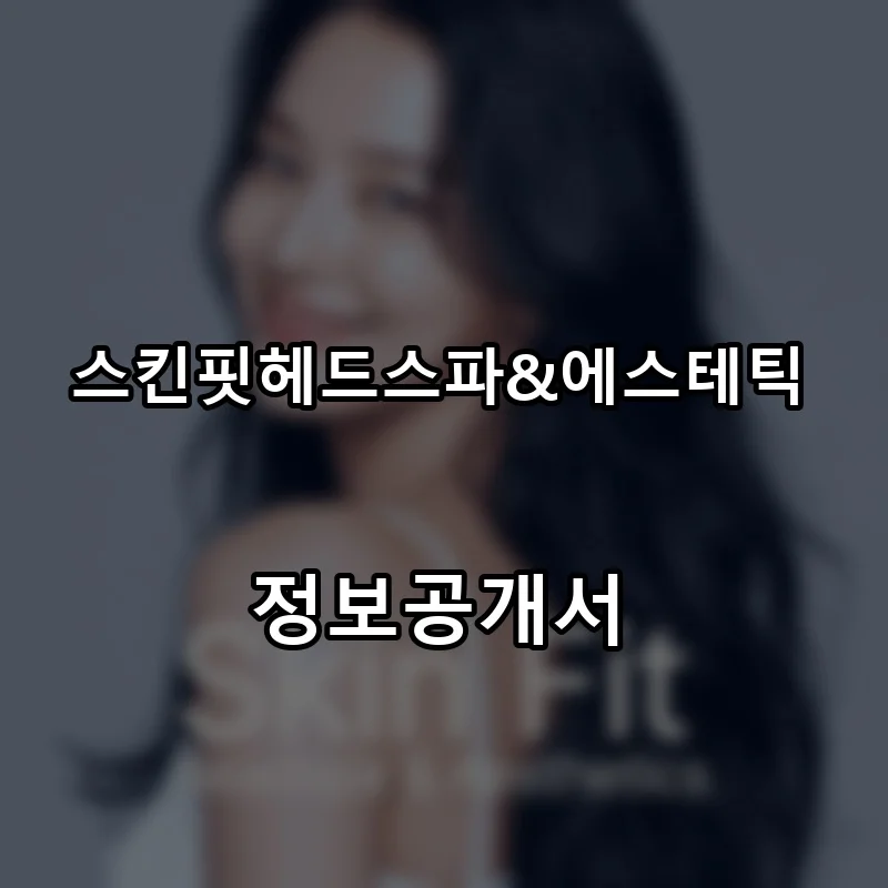 스킨핏헤드스파&에스테틱 프랜차이즈 창업 비용 정보공개서 요약