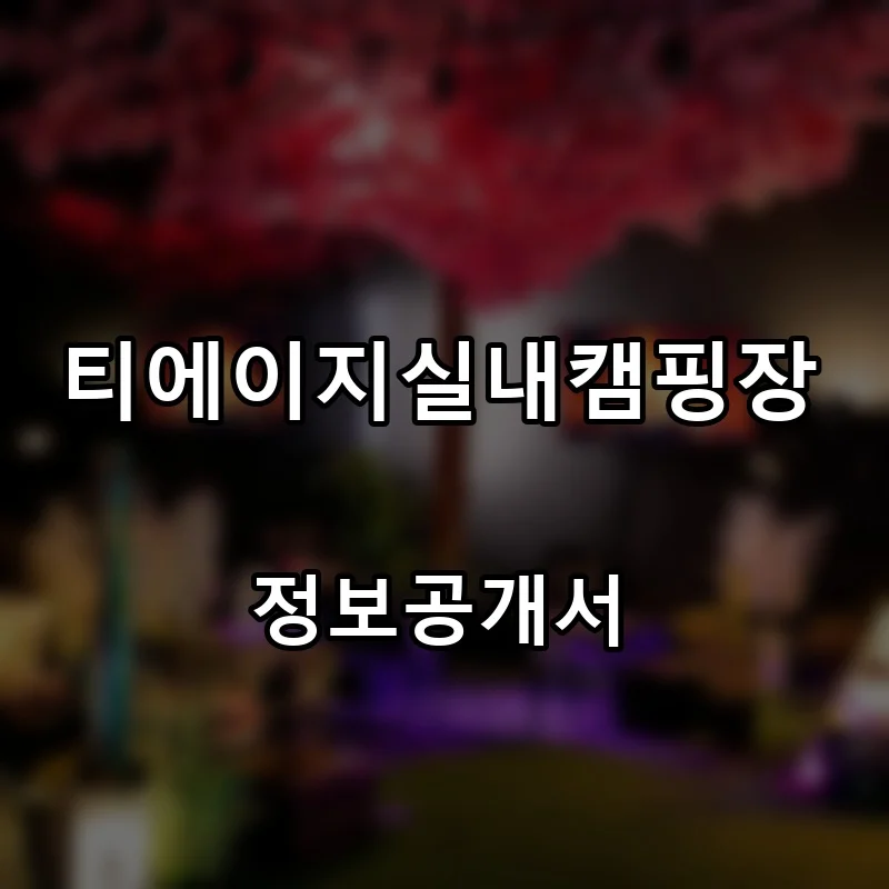 티에이지실내캠핑장 프랜차이즈 창업 비용 정보공개서 요약