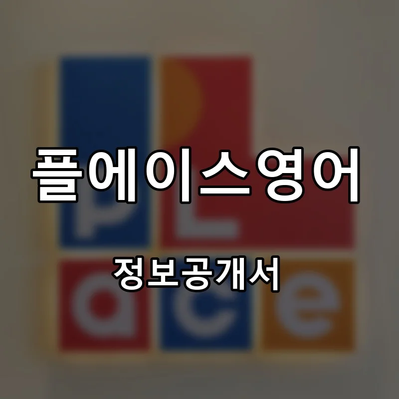 플에이스영어 창업 프랜차이즈 정보공개서 요약 2026.07.28