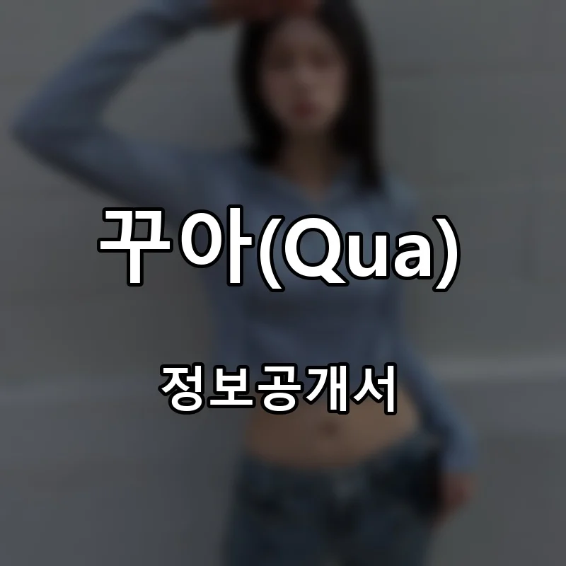 꾸아(Qua) 프랜차이즈 창업 비용 정보공개서 요약