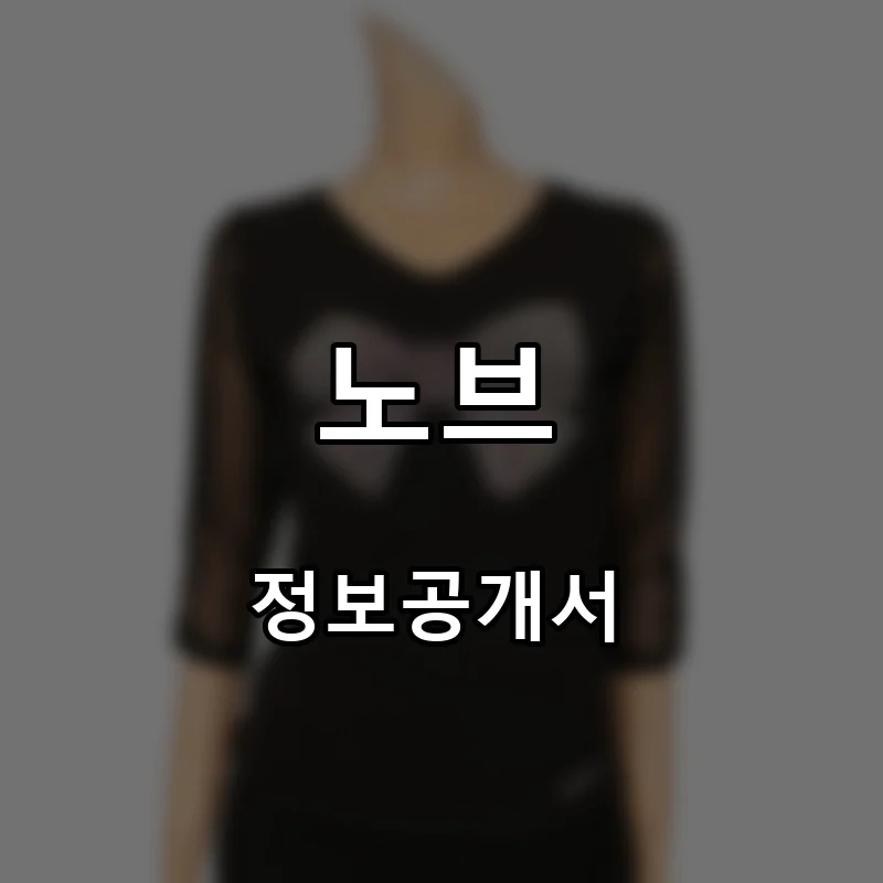 노브 프랜차이즈 창업 비용 정보공개서 요약