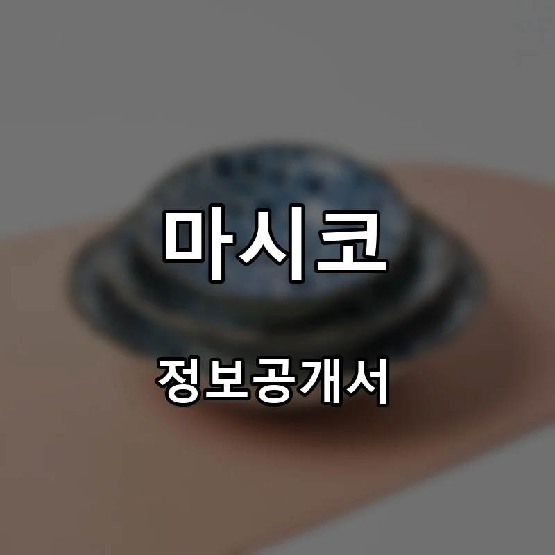 마시코 프랜차이즈 창업 비용 정보공개서 요약