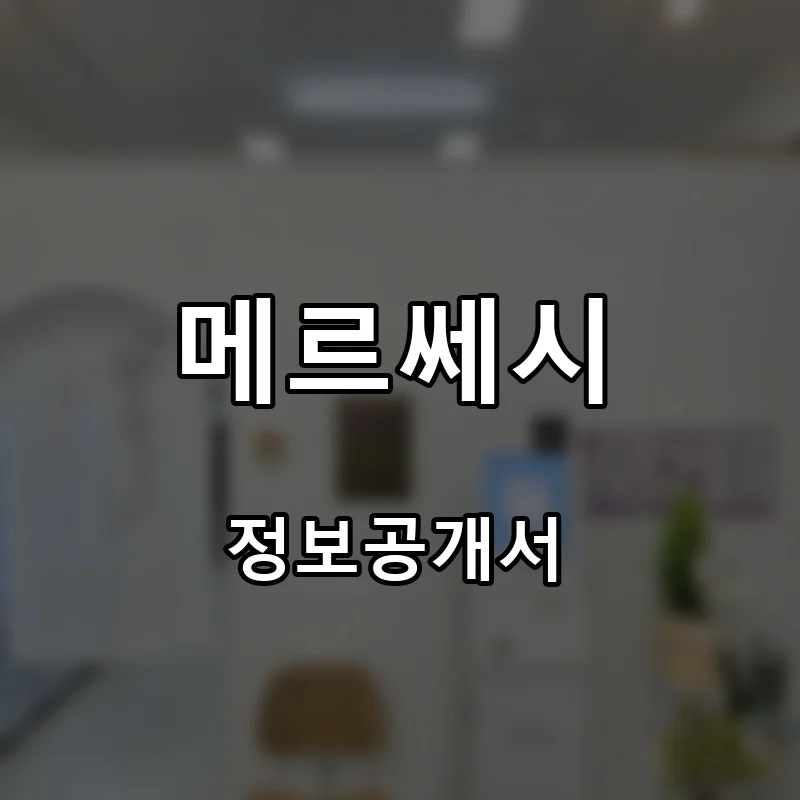 메르쎄시 프랜차이즈 창업 비용 정보공개서 요약