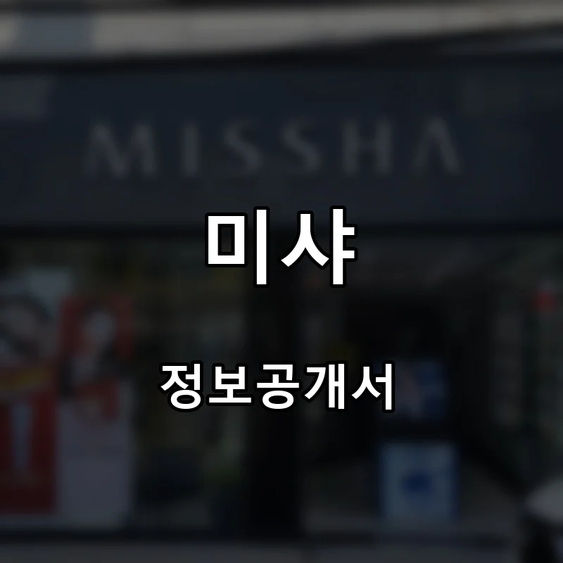 미샤 프랜차이즈 창업 비용 정보공개서 요약