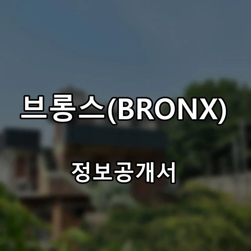 브롱스(BRONX) 프랜차이즈 창업 비용 정보공개서 요약