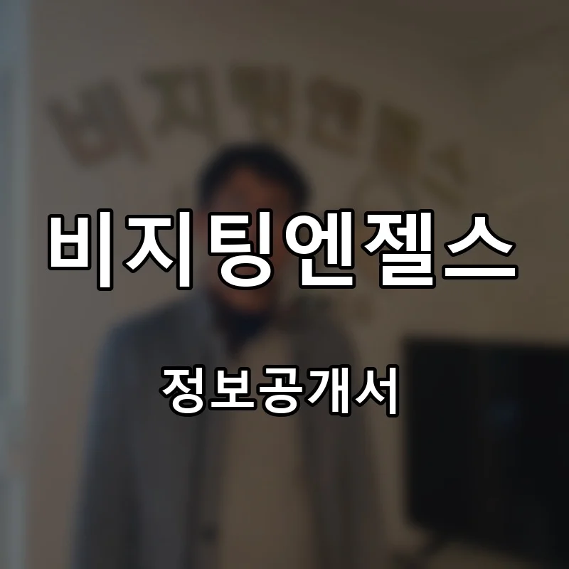 비지팅엔젤스 프랜차이즈 창업 비용 정보공개서 요약