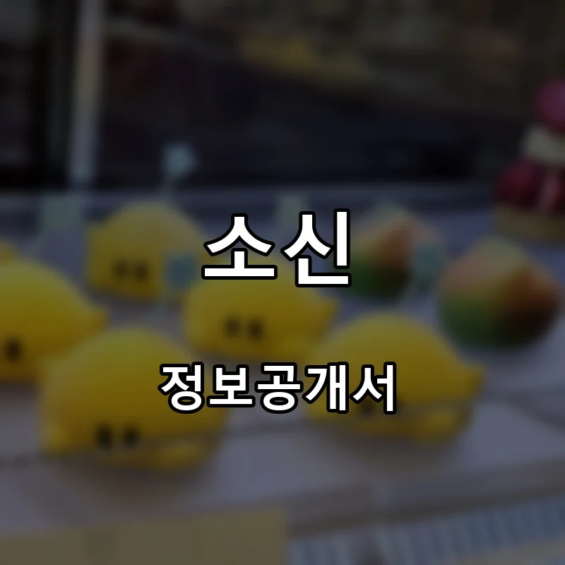 소신 프랜차이즈 창업 비용 정보공개서 요약