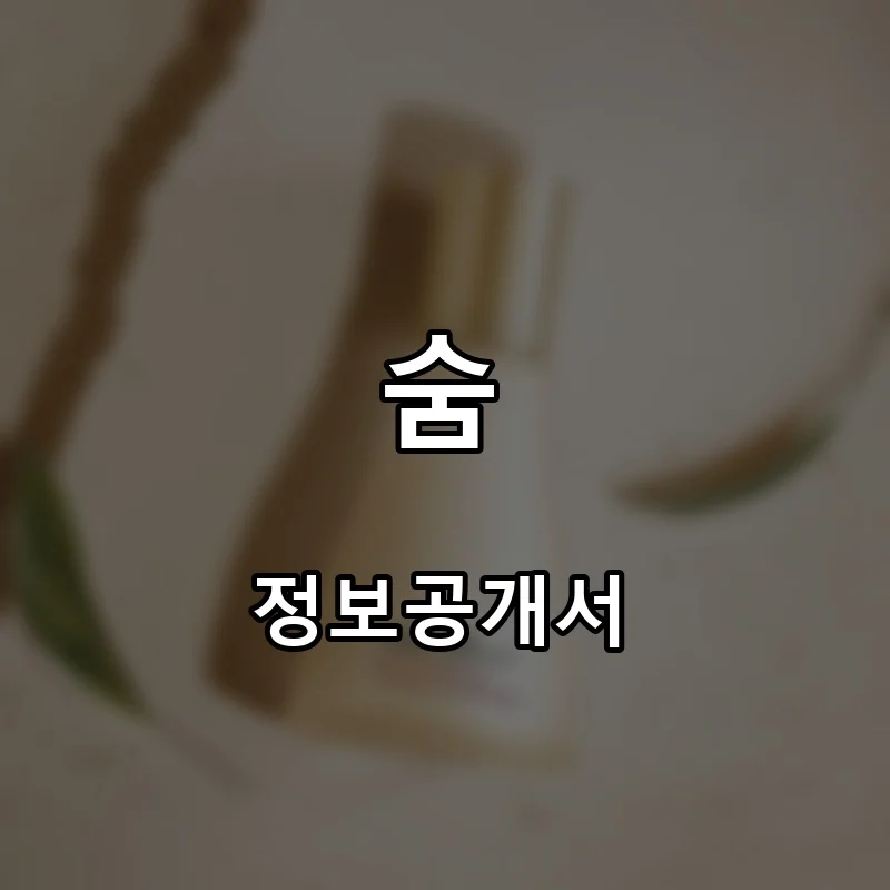 숨 프랜차이즈 창업 비용 정보공개서 요약