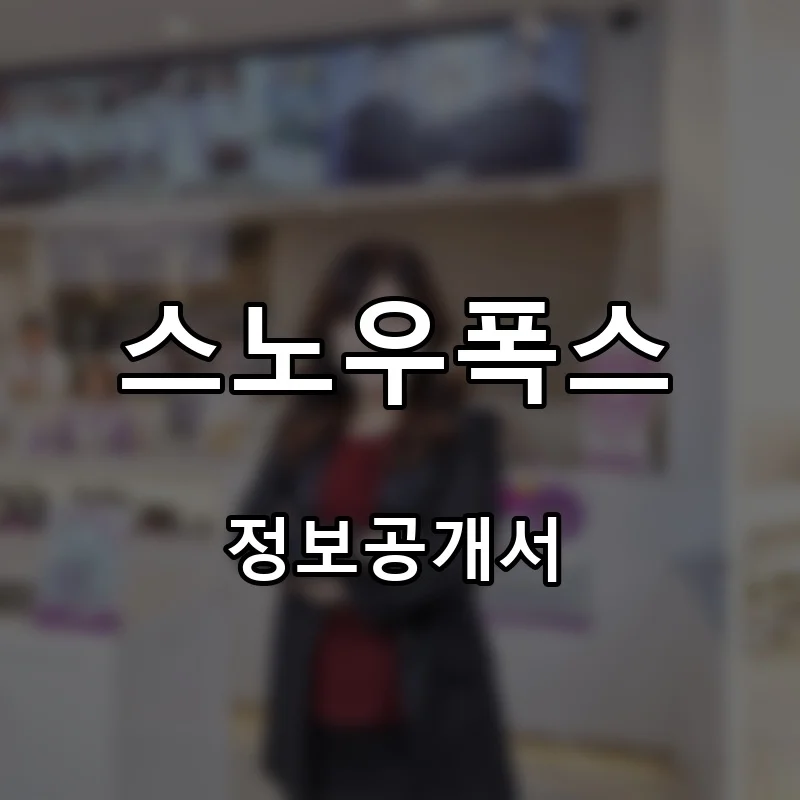 스노우폭스 프랜차이즈 창업 비용 정보공개서 요약