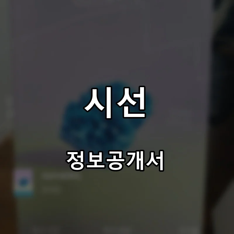 시선 프랜차이즈 창업 비용 정보공개서 요약