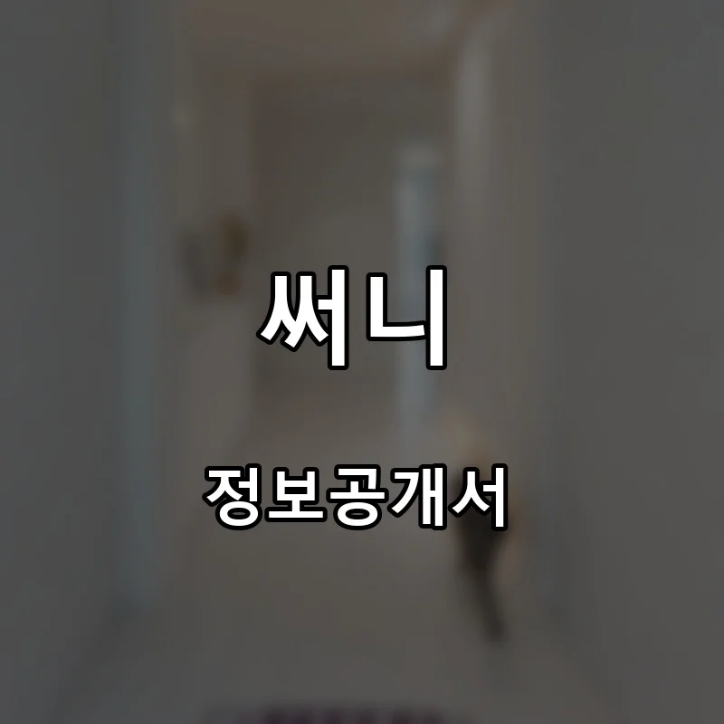 써니 프랜차이즈 창업 비용 정보공개서 요약