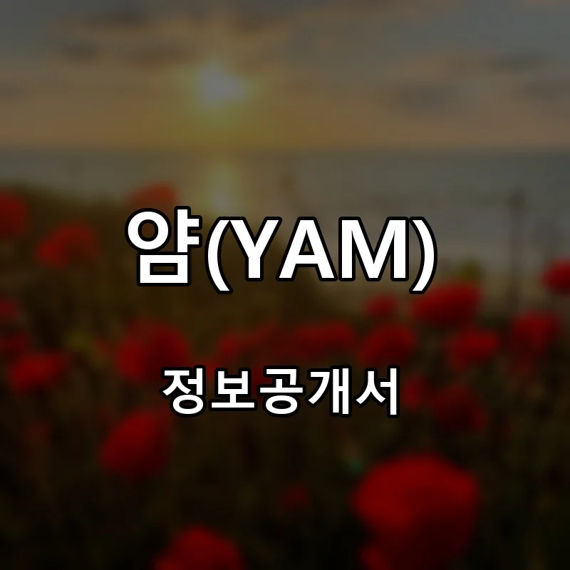 얌(YAM) 프랜차이즈 창업 비용 정보공개서 요약