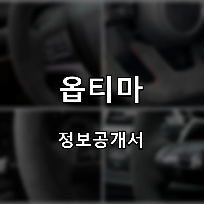 옵티마 프랜차이즈 창업 비용 정보공개서 요약