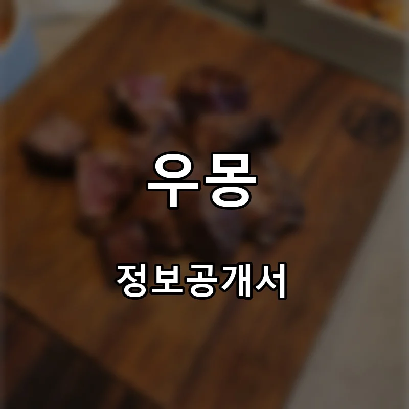 우몽 프랜차이즈 창업 비용 정보공개서 요약
