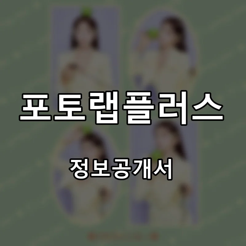 포토랩플러스 창업 프랜차이즈 정보공개서 요약 2026.05.11