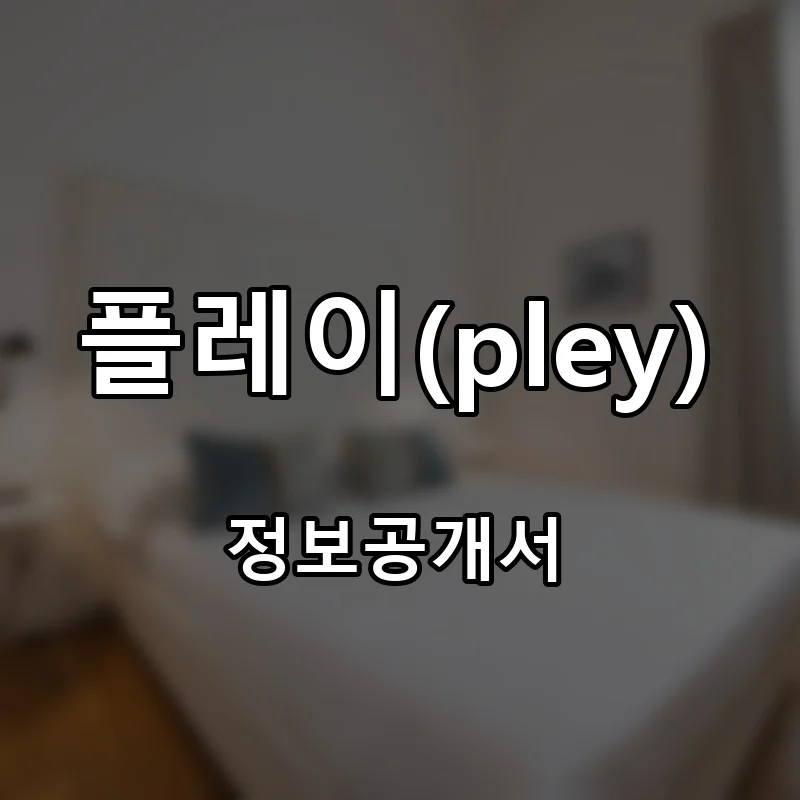 플레이(pley) 창업 프랜차이즈 정보공개서 요약 2026.07.03
