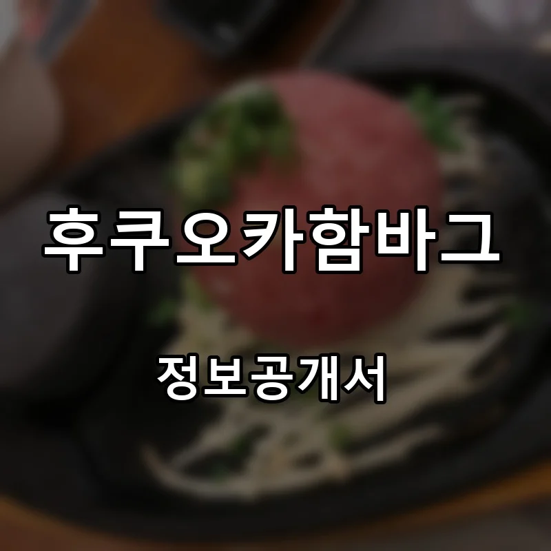 후쿠오카함바그 창업 프랜차이즈 정보공개서 요약 2025.06.30