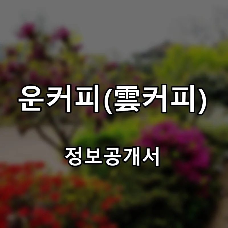 운커피(雲커피) 프랜차이즈 창업 비용 정보공개서 요약