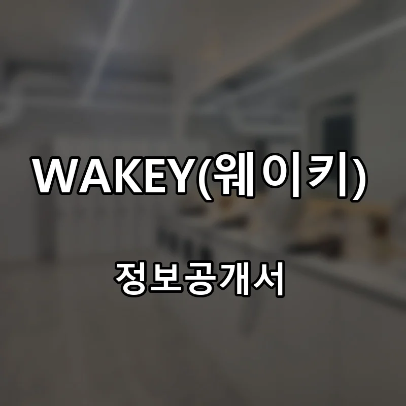 WAKEY(웨이키) 프랜차이즈 창업 비용 정보공개서 요약