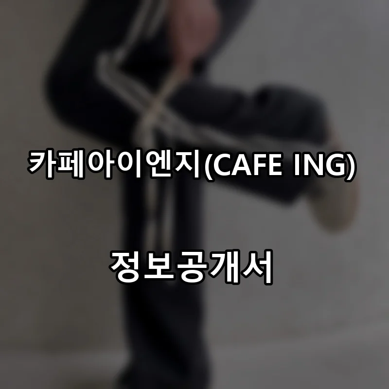 카페아이엔지(CAFE ING) 프랜차이즈 창업 비용 정보공개서 요약