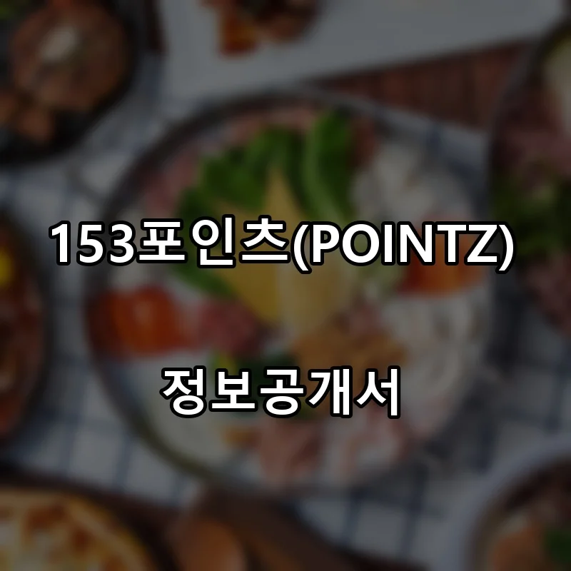 153포인츠(POINTZ) 프랜차이즈 창업 비용 정보공개서 요약