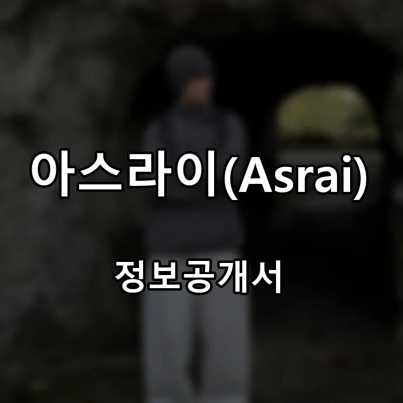 아스라이(Asrai) 프랜차이즈 창업 비용 정보공개서 요약