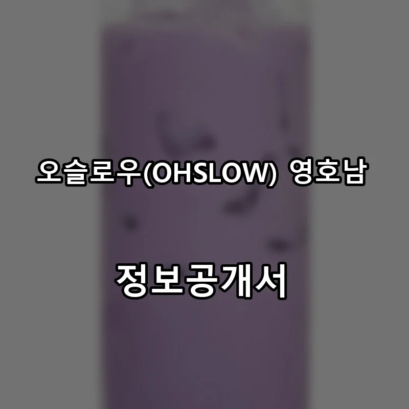 오슬로우(OHSLOW) 영호남 프랜차이즈 창업 비용 정보공개서 요약
