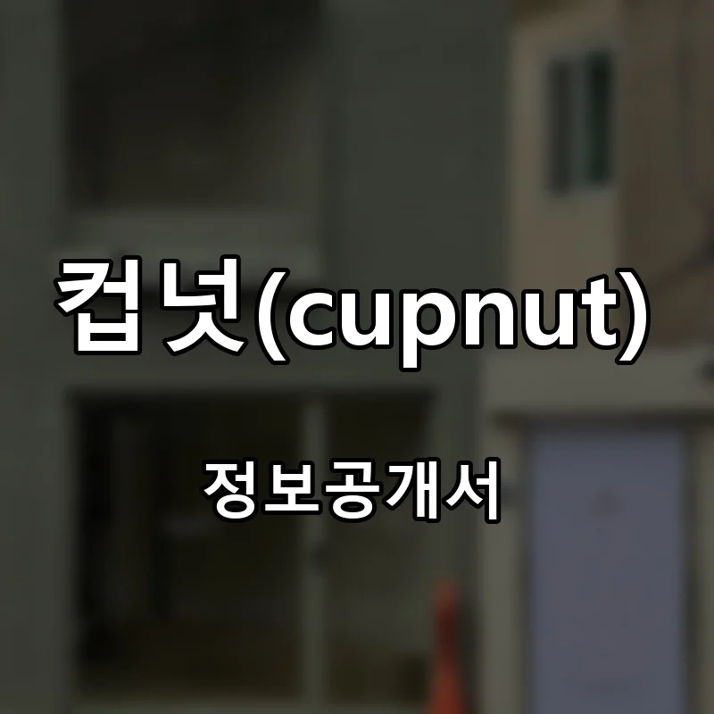 컵넛(cupnut) 프랜차이즈 창업 비용 정보공개서 요약